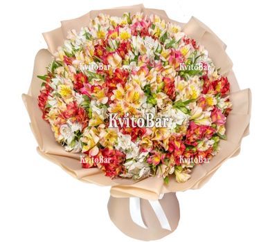 133 альстромерії