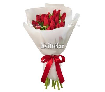19 красных тюльпанов