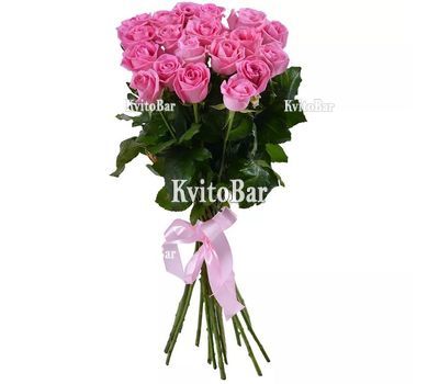 19 рожевих троянд