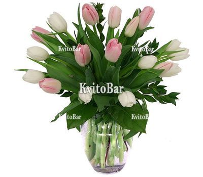 19 тюльпанів