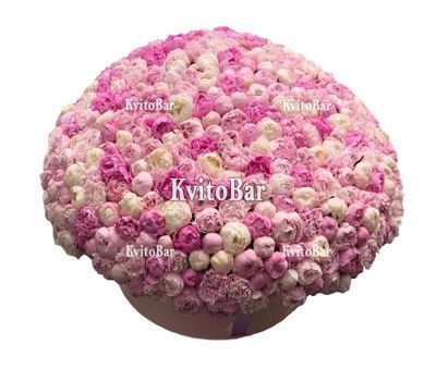 201 пион в коробке