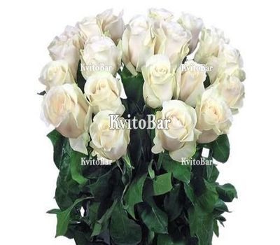 21 імпортна троянда на довгій ніжці