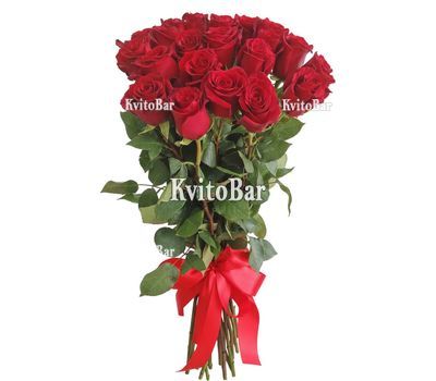Bouquet of 21 Dutch red roses