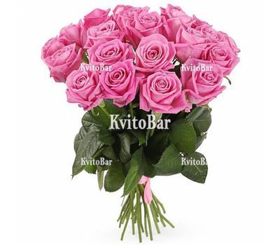 21 pink roses