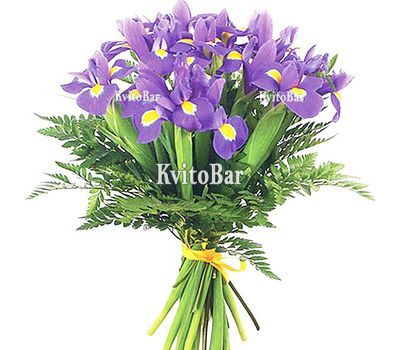 21 синій ірис