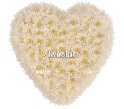 Серце з 25 хризантем