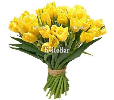 25 жовтих тюльпанів