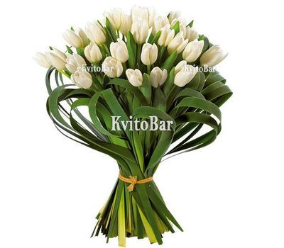 29 белых тюльпанов