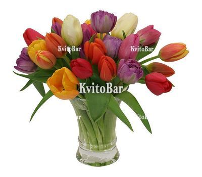 Букет із 29 різнокольорових тюльпанів