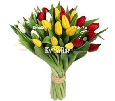 29 різнокольорових тюльпанів