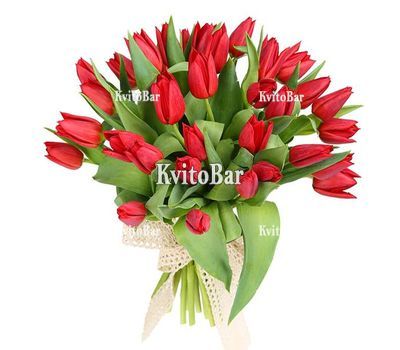 35 bright tulips