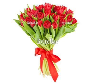 Букет из 35 красных тюльпанов