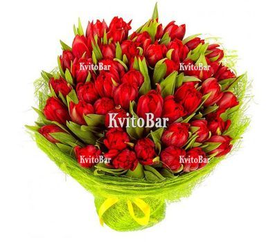 35 червоних тюльпанів в пакуванні