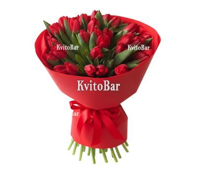 35 красных тюльпанов в упаковке