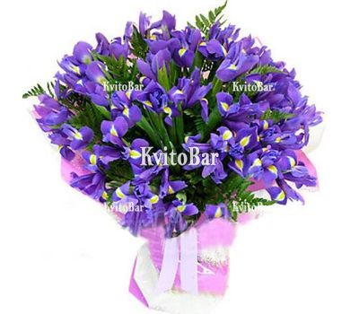 35 синіх ірисів