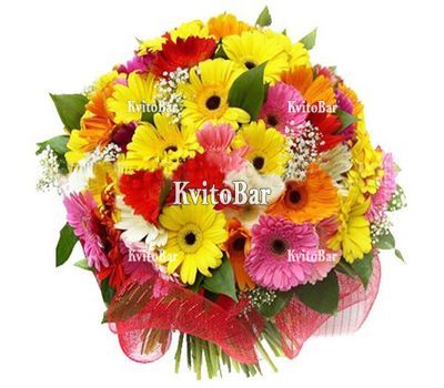 45 multi-colored gerberas