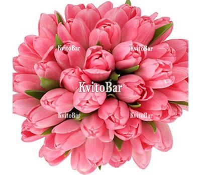 45 рожевих тюльпанів