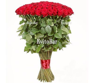 51 метрова троянда з Еквадору