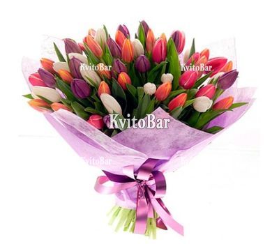 75 різнокольорових тюльпанів