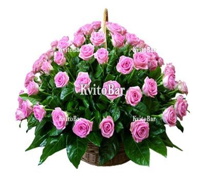 75 рожевих троянд у кошику