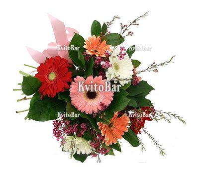 9 different gerberas