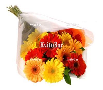 Bouquet of 13 gerbers
