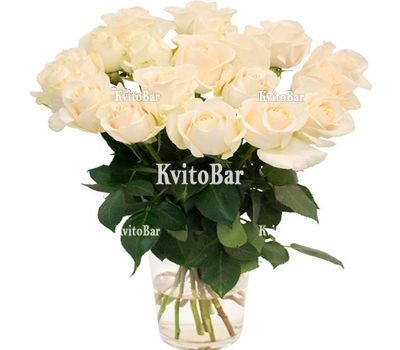 Букет із 19 білих троянд