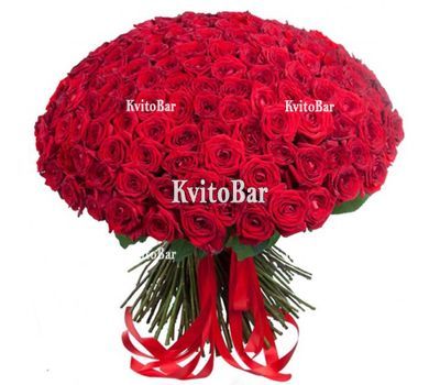 Букет із 201 троянди 70 см