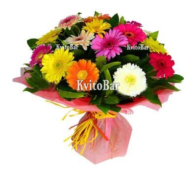 21 gerberas