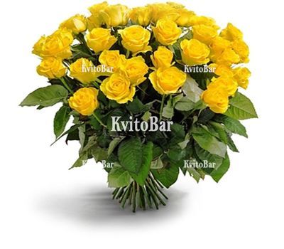Букет із 25 жовтих троянд