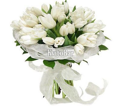 Букет из 35 белых тюльпанов