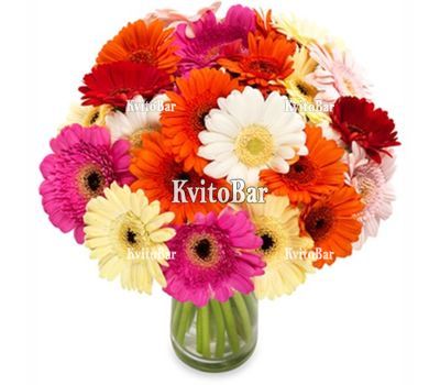 Букет із гербер
