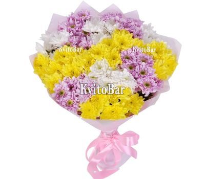 Букет разноцветных хризантем