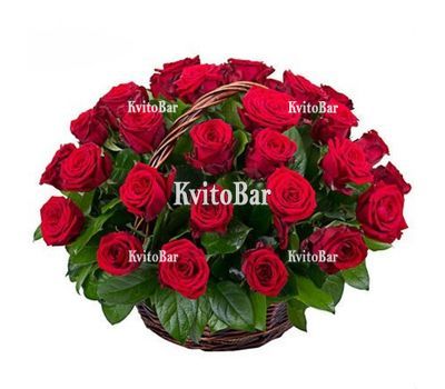 Кошик 35 червоних троянд