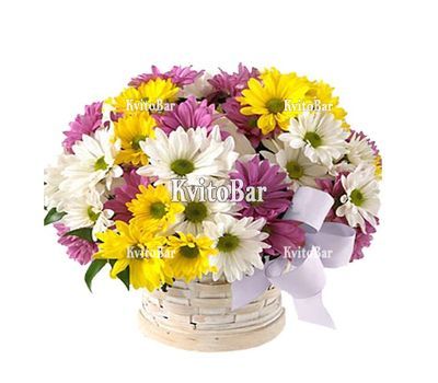 Кошик із різнокольорових хризантем