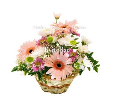 Кошик з гербер і хризантем