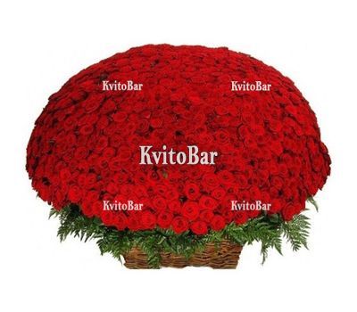 1001 красная роза