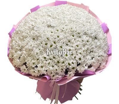 101 біла хризантема