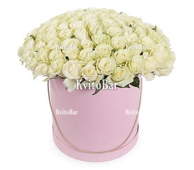 101 біла троянда в коробці
