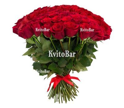 101 червона троянда 50 см