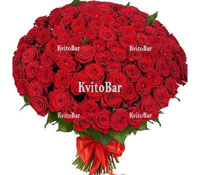 101 червона троянда 60 см