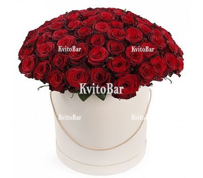 101 червона троянда в коробці
