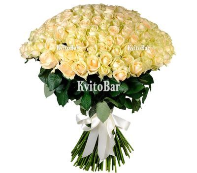 101 кремова троянда 70 см