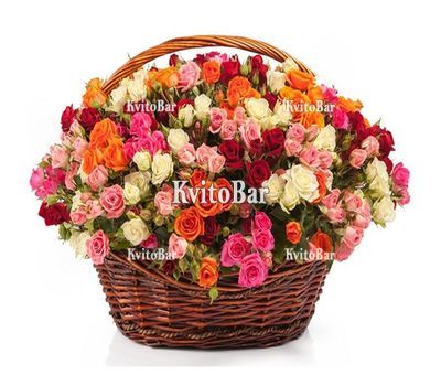 101 кустовая роза в коробке