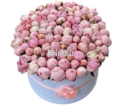 101 півонія в коробці