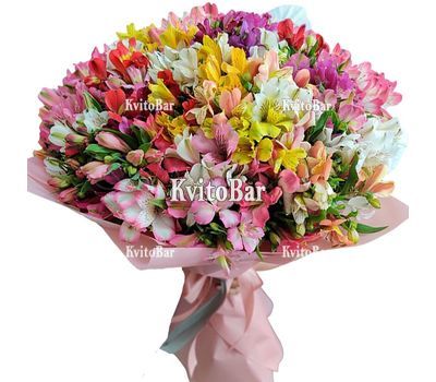 101 multi-colored alstroemerias