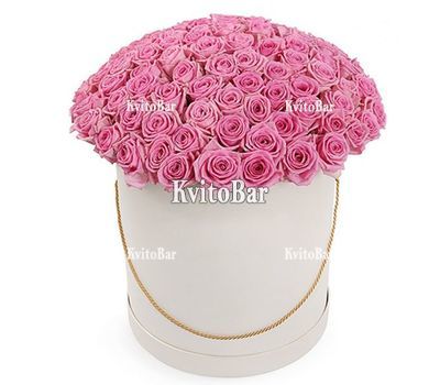 101 рожева троянда в коробці