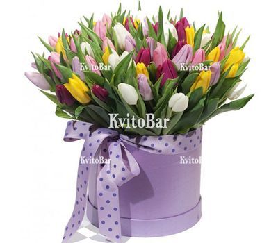 101 тюльпан в коробці