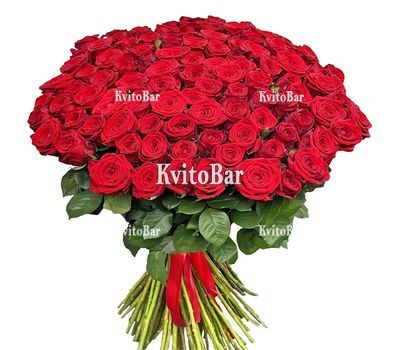 101 троянда 60 см
