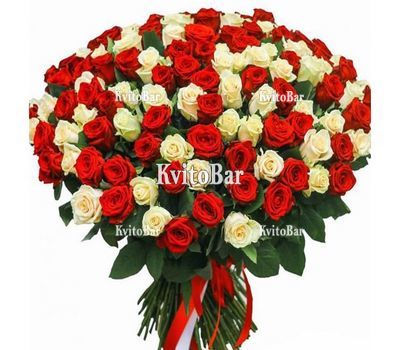 101 троянда червона і біла